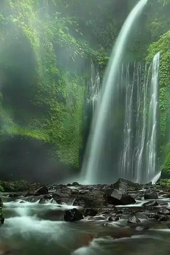 万词王