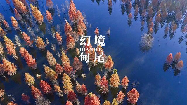 汽车华容道选关版