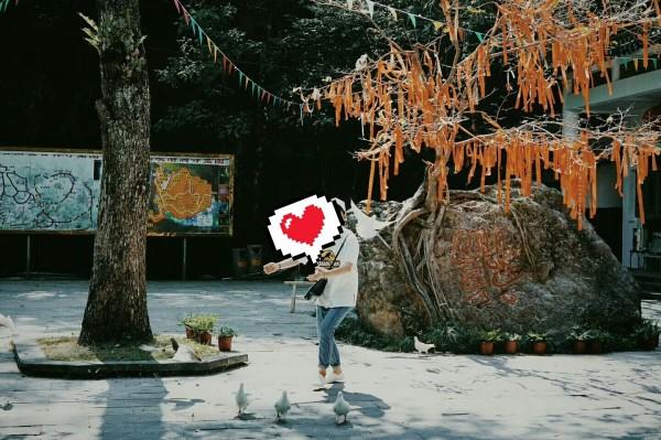 澳洲皮草