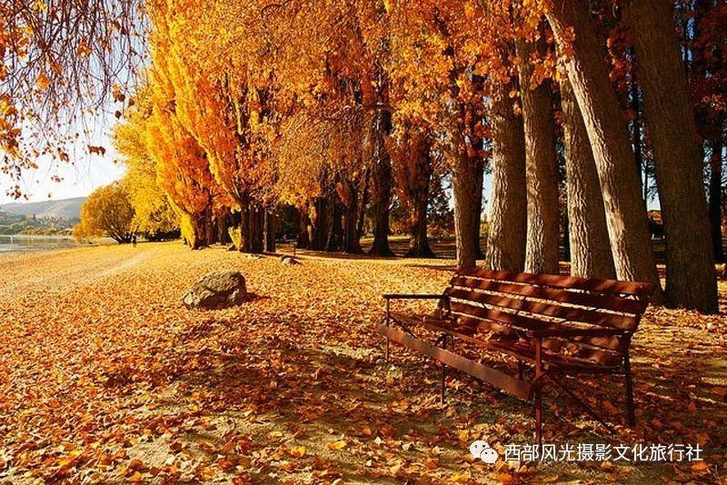 逃离荒凉的地方