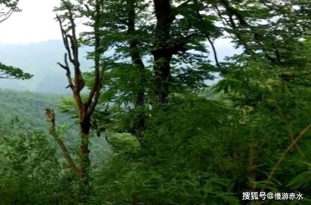 史小坑的爆笑生活12