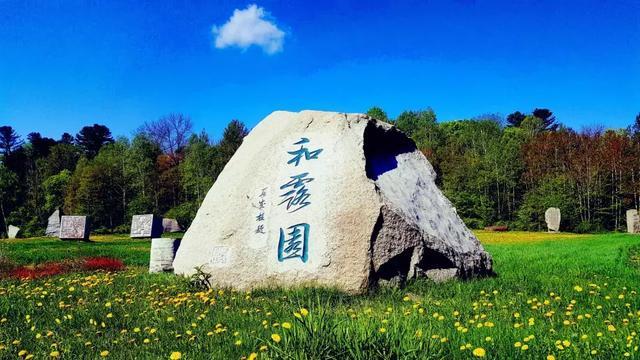 妙鸭相机app下载官网