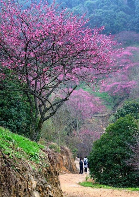 天海防务(300008.SZ)新设公司开拓厦门及周边地区的船艇运营市场