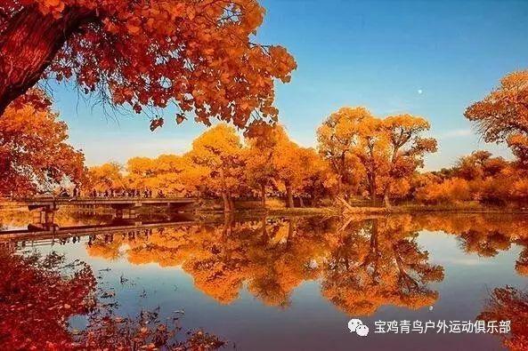 真我12 Pro系列正式在印度推出