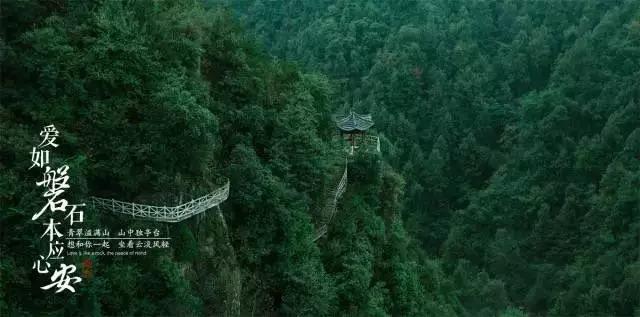 探探猫拼图