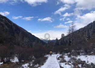 “院中有五树,子孙一直富”,老祖宗常说的俗语,有没有依据?