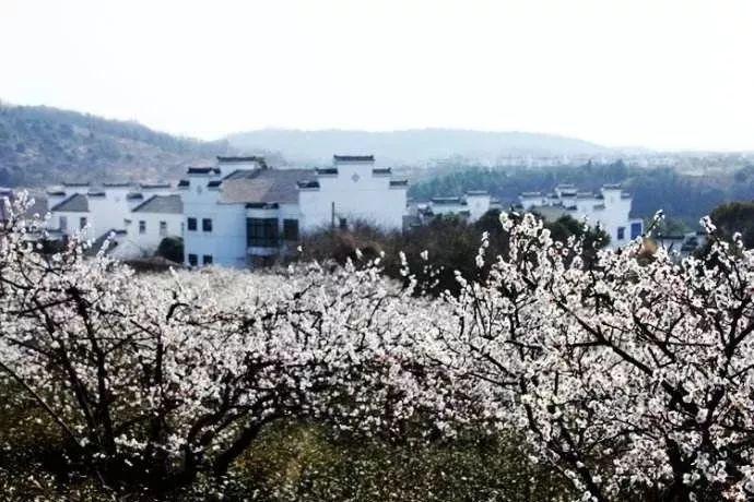 巴彦淖尔一地市场监督管理局发布告知书