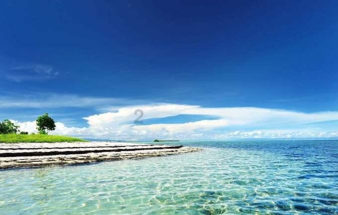 失忆的流浪者