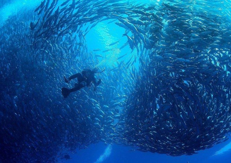 逃离幻想之镜