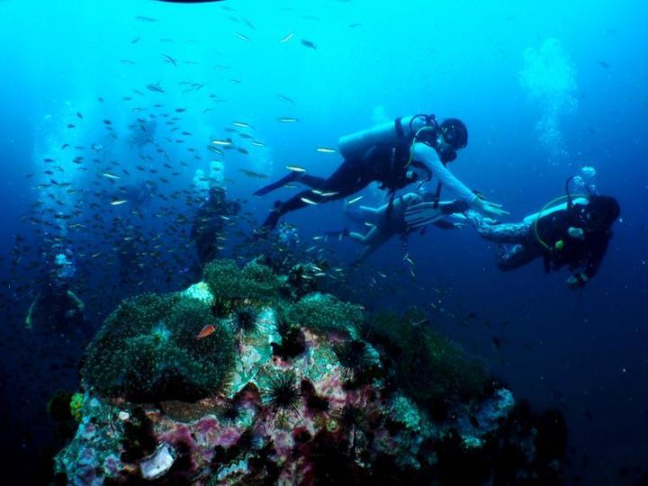 海绵宝宝寻珍宝
