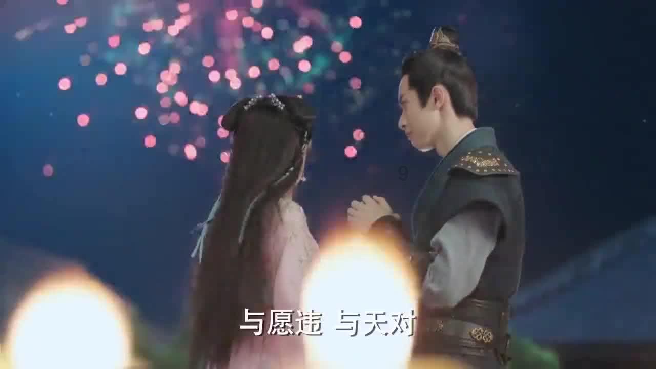 细胞分裂4