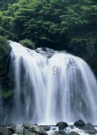 见证者