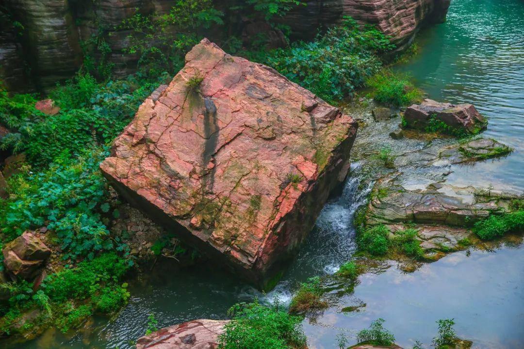 救援蒙克