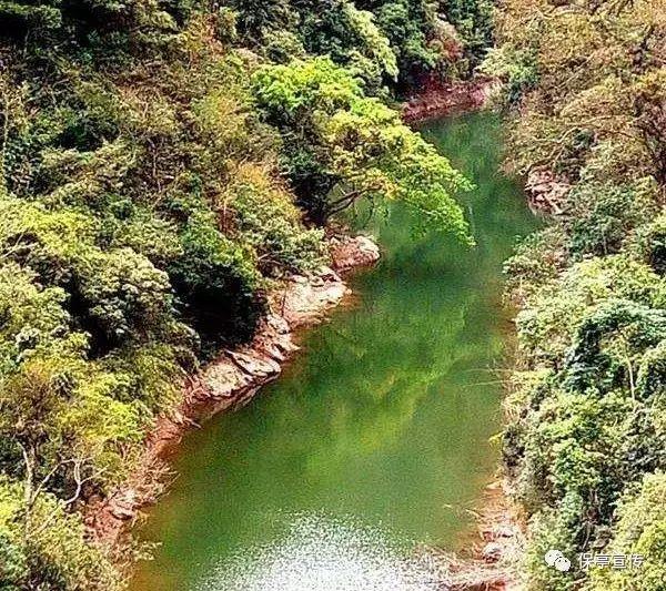 召唤神龙万宁版祖龙