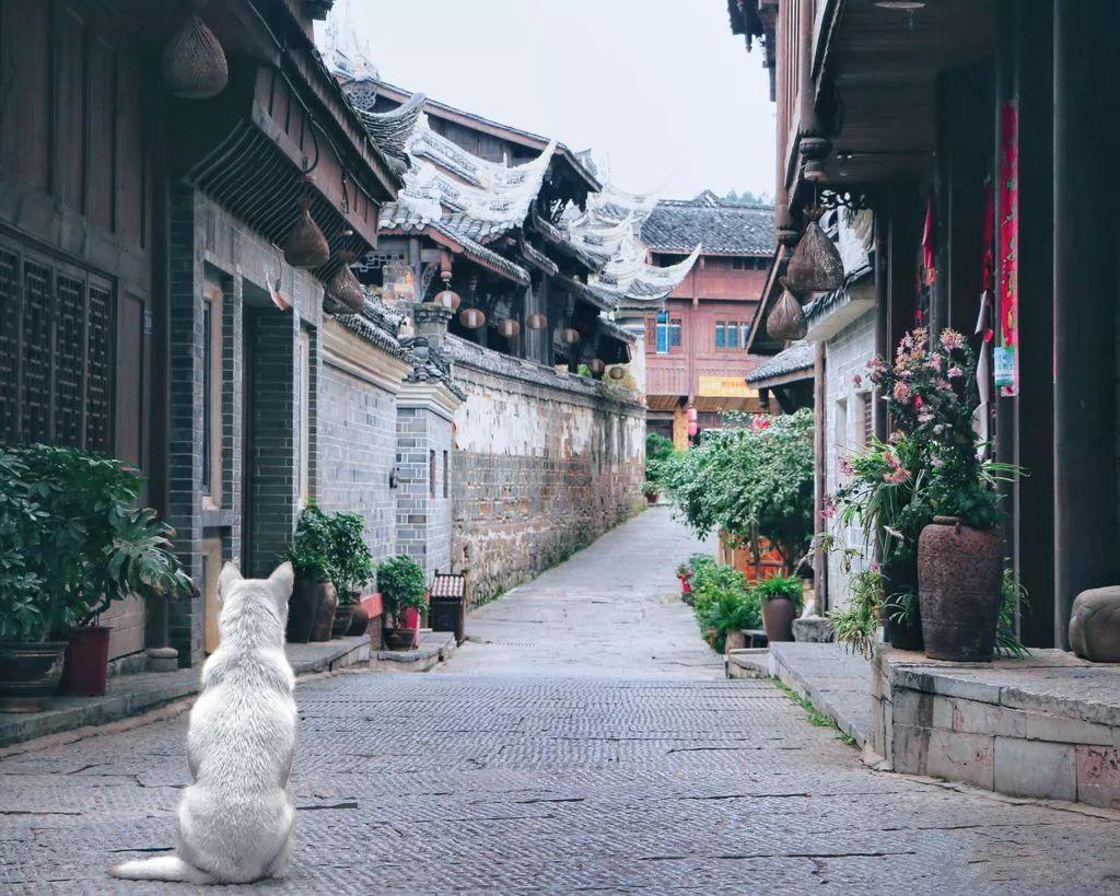 垂直下落