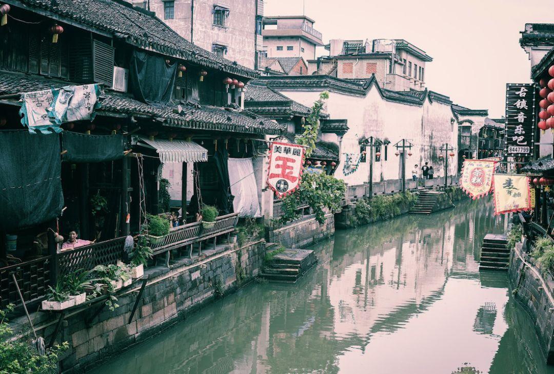 萌宠大连接