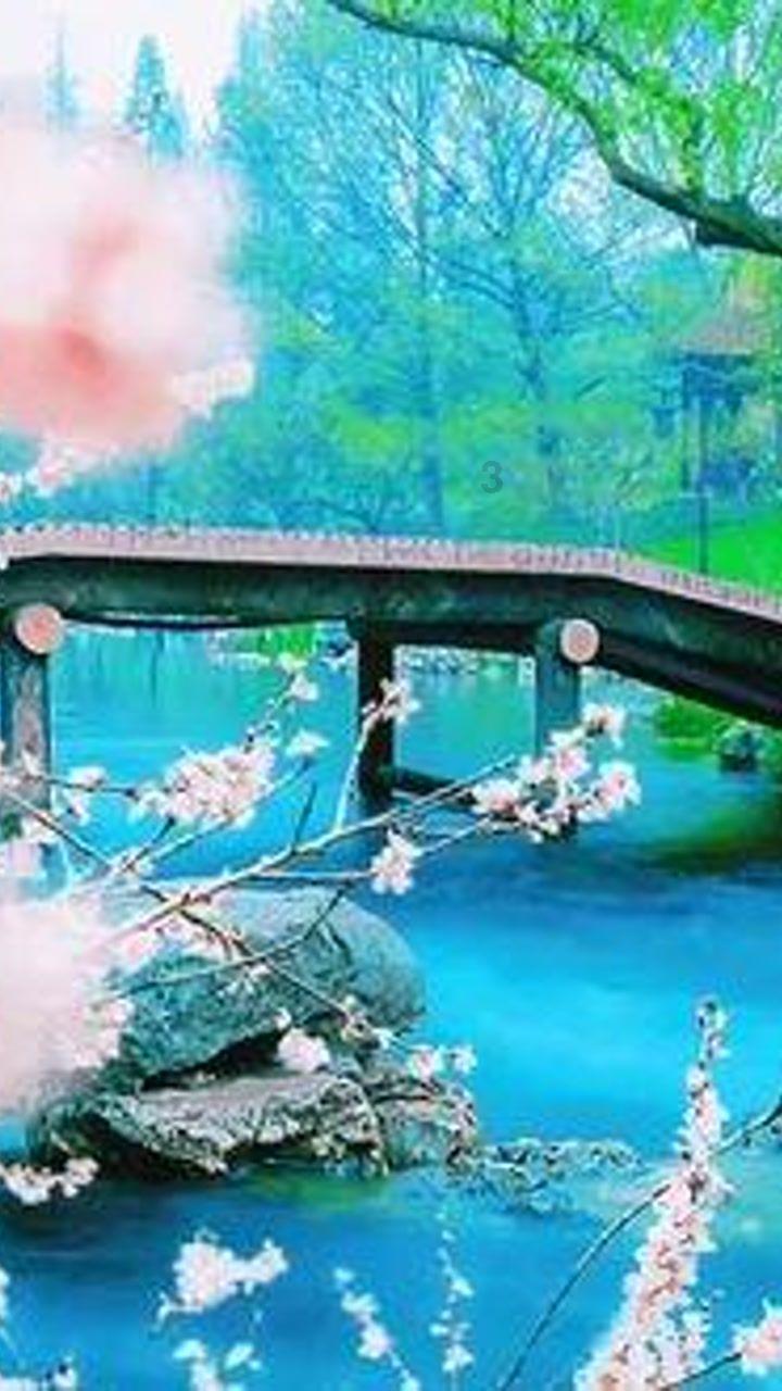 逃离洁白的宾馆