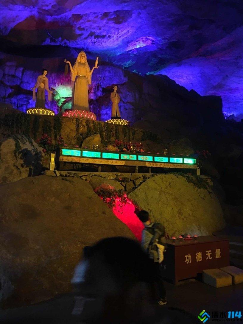 新春走基层·黄土地上的“大食物”∣一只羊的科技含量